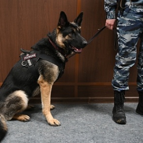 Пропавшую 10-летнюю россиянку нашли в клетке