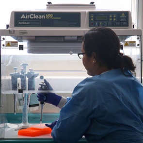 Число заболевших коронавирусом приблизилось к десяти тысячам человек