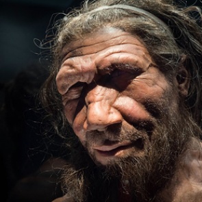 Пересмотрена история раннего человечества