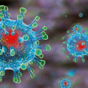 Минздрав опроверг информацию про госпитализацию в Красноярске больных коронавирусом