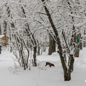 В Красноярске ожидаются очень теплые выходные: в воскресенье почти весна