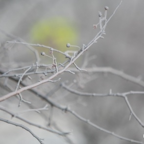 Синоптики пообещали красноярцам 30-градусные морозы в марте