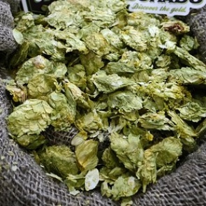 Российские пивовары попросили пересмотреть состав пива