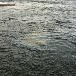 На севере Красноярского края в воды Ангары попали нефтепродукты. Введен режим ЧС