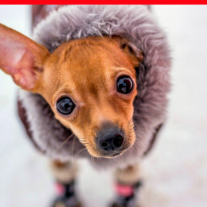 «Это редчайший случай»: федеральные синоптики назвали погоду в Красноярске невероятно тёплой