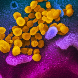 Дети оказались скрытыми разносчиками коронавируса