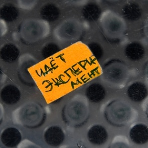 Ученые МГУ заявили о готовности создать вакцину от коронавируса за три месяца