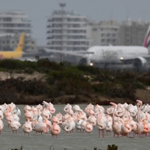 Кипр запретил прием пассажирских рейсов из России