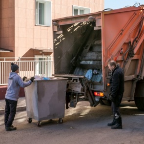 В Большеулуйском районе мать с сыном срубили вековые кедры на 29 миллионов рублей и оставили местных жителей без шишки