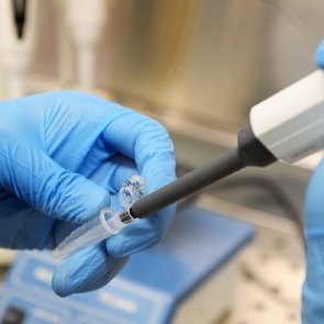 Роспотребнадзор официально подтвердил наличие коронавируса у четырех красноярцев