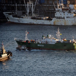 Рыболовство в Баренцевом море оказалось под угрозой из-за коронавируса