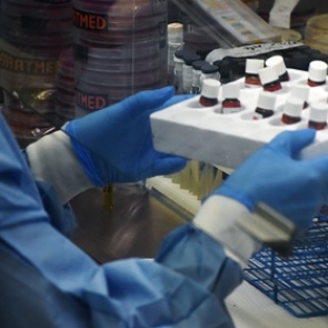 За сутки в Красноярском крае под медицинское наблюдение из-за коронавируса взяли еще 345 человек