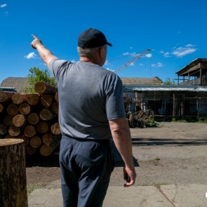 В заваленном отходами Лесосибирске хотят построить завод по производству палочек для мороженного