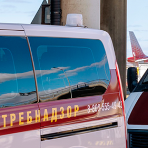 В России задержали рейс из-за чихнувшего пассажира