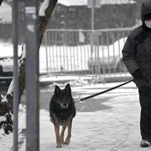 В Красноярском крае с 1 апреля вводят режим самоизоляции