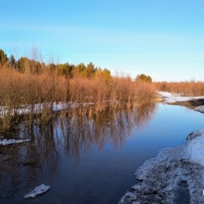 Потепление до +20 и снег с дождем: синоптики рассказали, каким будет апрель