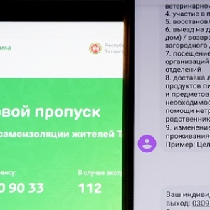 Российский регион ввел электронные пропуска для передвижения