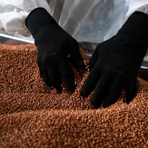 Названо оптимальное питание для самоизолированных россиян