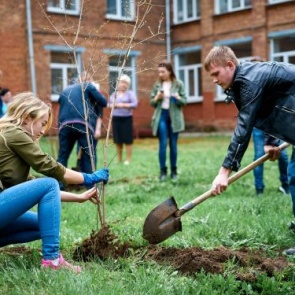 Благоустройство Ачинска: на весеннее озеленение города планируется выделить более 3000 саженцев