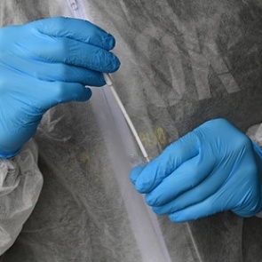 Объявлена дата старта тестирования на антитела в России