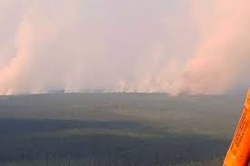 В Красноярском крае за сутки сгорело около 200 гектаров сухой травы