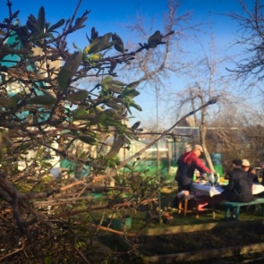 Роспотребнадзор написал правила поездок на дачу во время пандемии