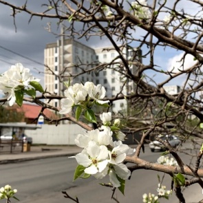 В этот раз без снега: какая погода будет на майских праздниках