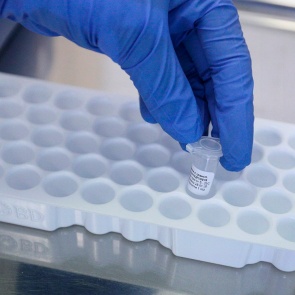 В Хакасии за сутки выявили всего 4 новых больных коронавирусом