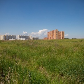 В правительстве отчитались о предпринимателях, получивших отсрочку по аренде федеральной земли