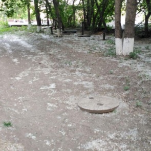 По Красноярску на месяц раньше полетел тополиный пух