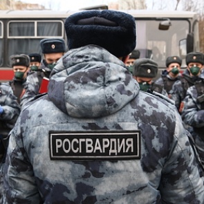 Призывавшего убивать росгвардейцев россиянина наказали