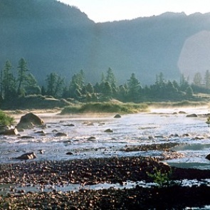 Назван наиболее подверженный летним температурным аномалиям регион России