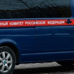 Красноярец нечаянно убил бывшую учительницу физкультуры за критику его образа жизни: грозит до 15 лет колонии