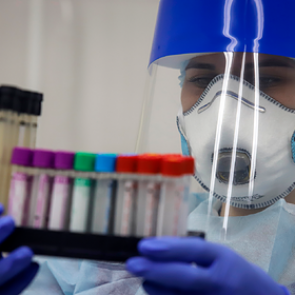 В России нашли редкий вид опасных для жизни хантавирусов