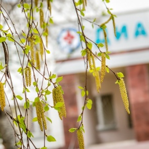 Не перепутайте с простудой: главные ошибки при лечении аллергии