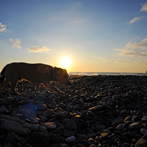 Оценена стоимость отдыха на курортах России в июле