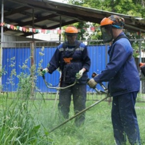В Ачинске продолжается сезон покоса травы (график работы «зеленых парикмахеров» на июль 2020 года)