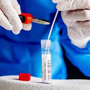 В России зафиксировано 6 693 новых случая коронавируса