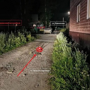 Россиянин без водительских прав сбил двухлетнего ребенка