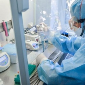 Ещё 4 человека стали пациентами ковид-госпиталя за сутки