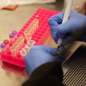 Открыто новое лекарство против коронавируса