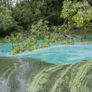 Рыбаки обнаружили в реке Чулым вещество ярко-бирюзового цвета