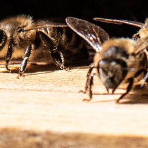 Найден способ решить одну из важнейших проблем мира