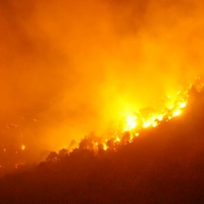 В Анапе три дня горел заповедник «Утриш»: огонь уничтожил уникальный лес