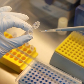 В России задумались над единой вакциной против коронавируса и гриппа