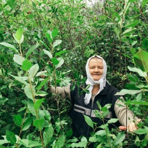 В следующем году в России вырастут пенсии. На 900 рублей