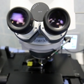 В России открыли революционный природный антибиотик