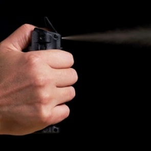 Россиянин распылил перцовый баллончик в лицо чиновницы