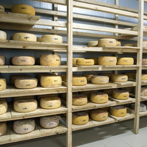 Назван самый популярный сыр у россиян