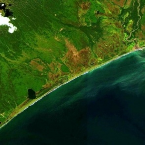 У властей Камчатки появились три версии экологической катастрофы